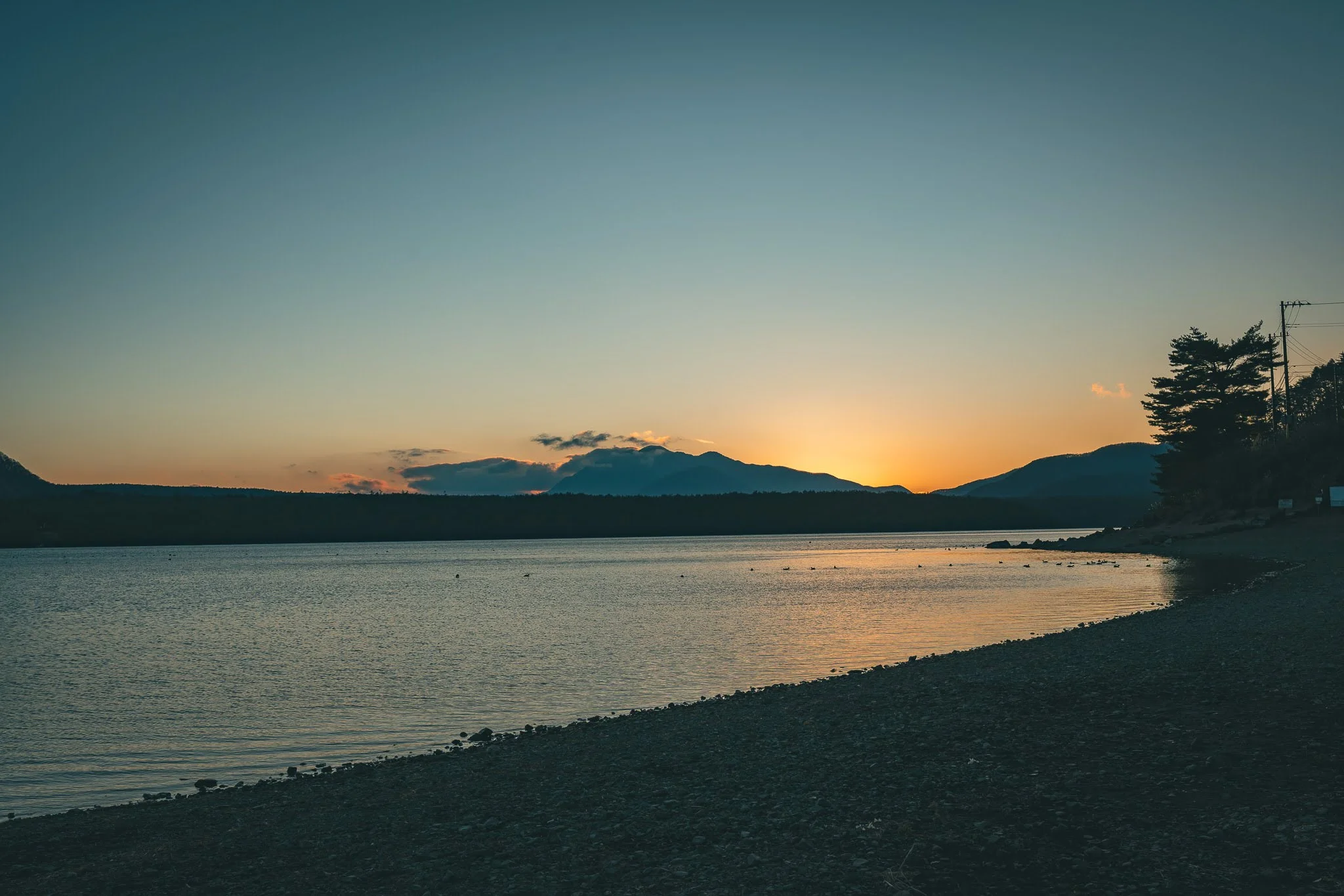 2025年コッコ祭りの様子11