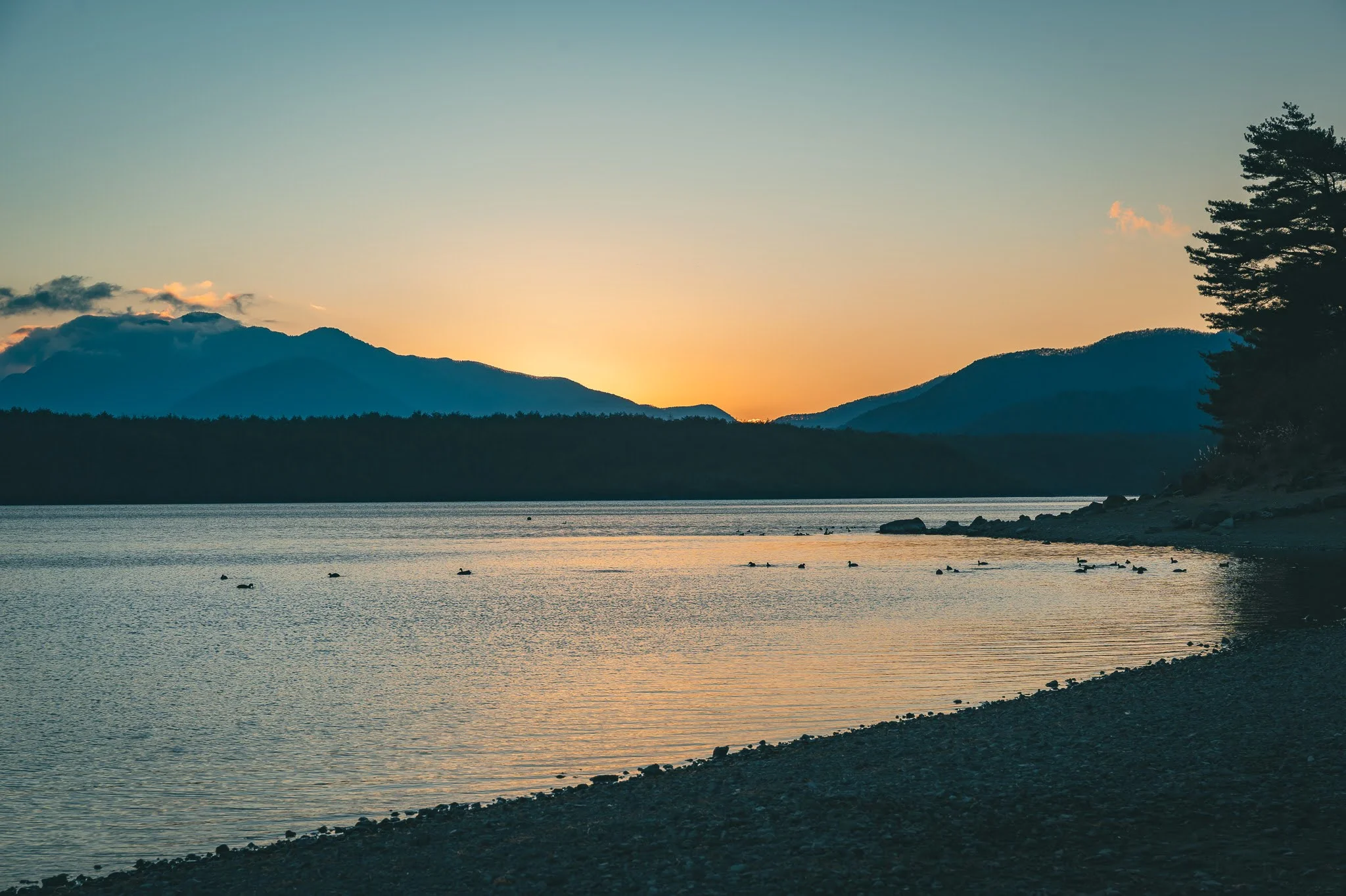 2025年コッコ祭りの様子12