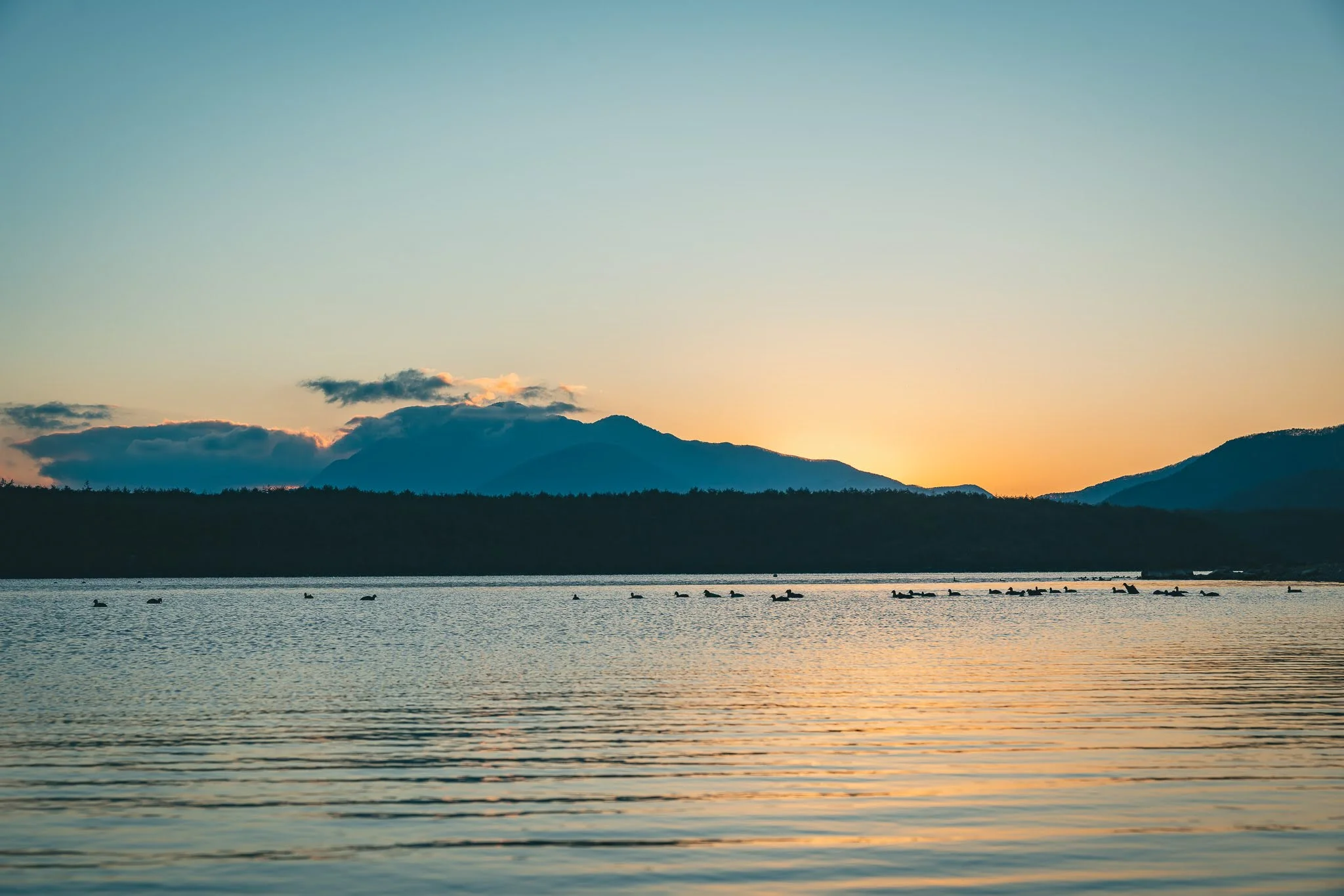 2025年コッコ祭りの様子13