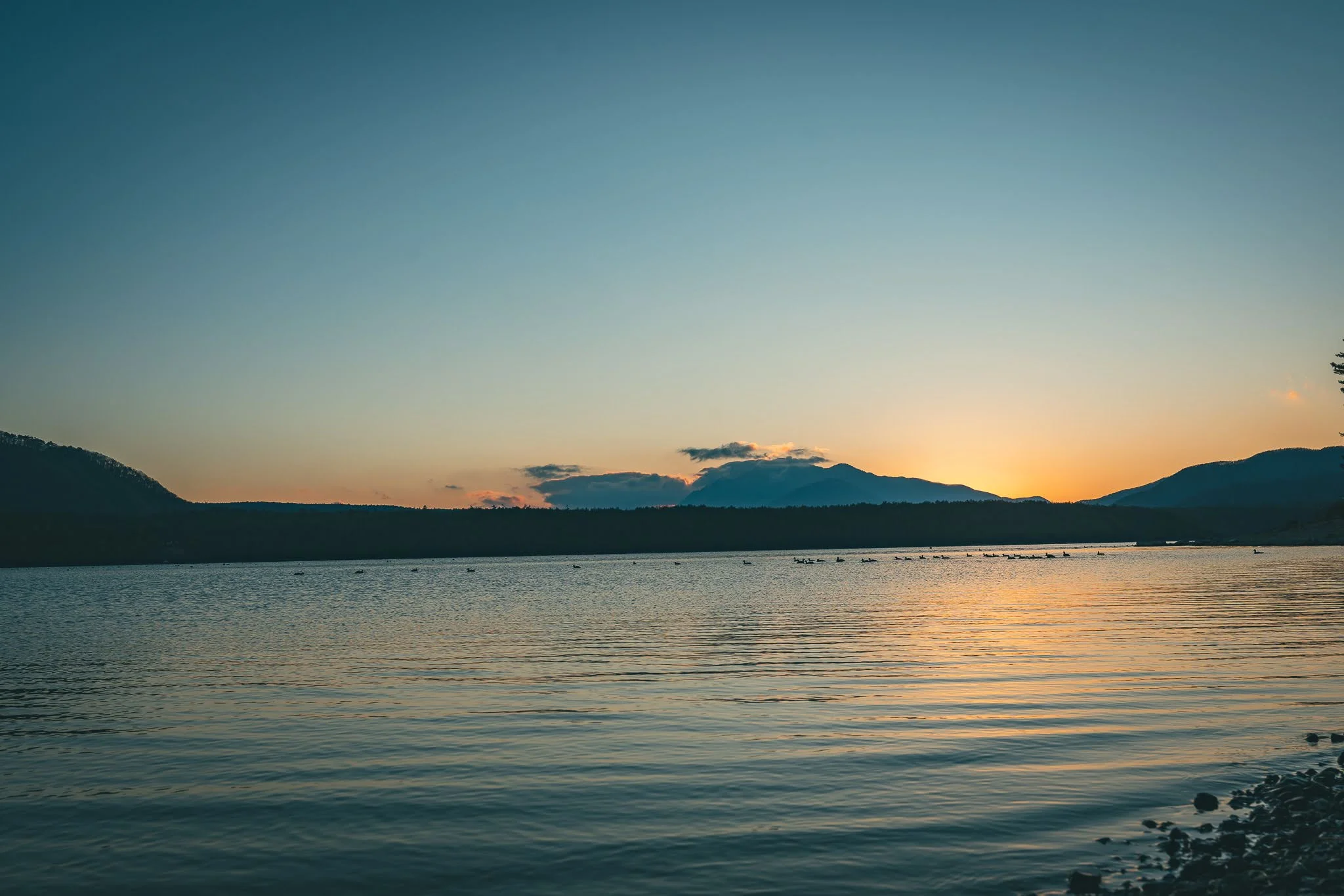 2025年コッコ祭りの様子14