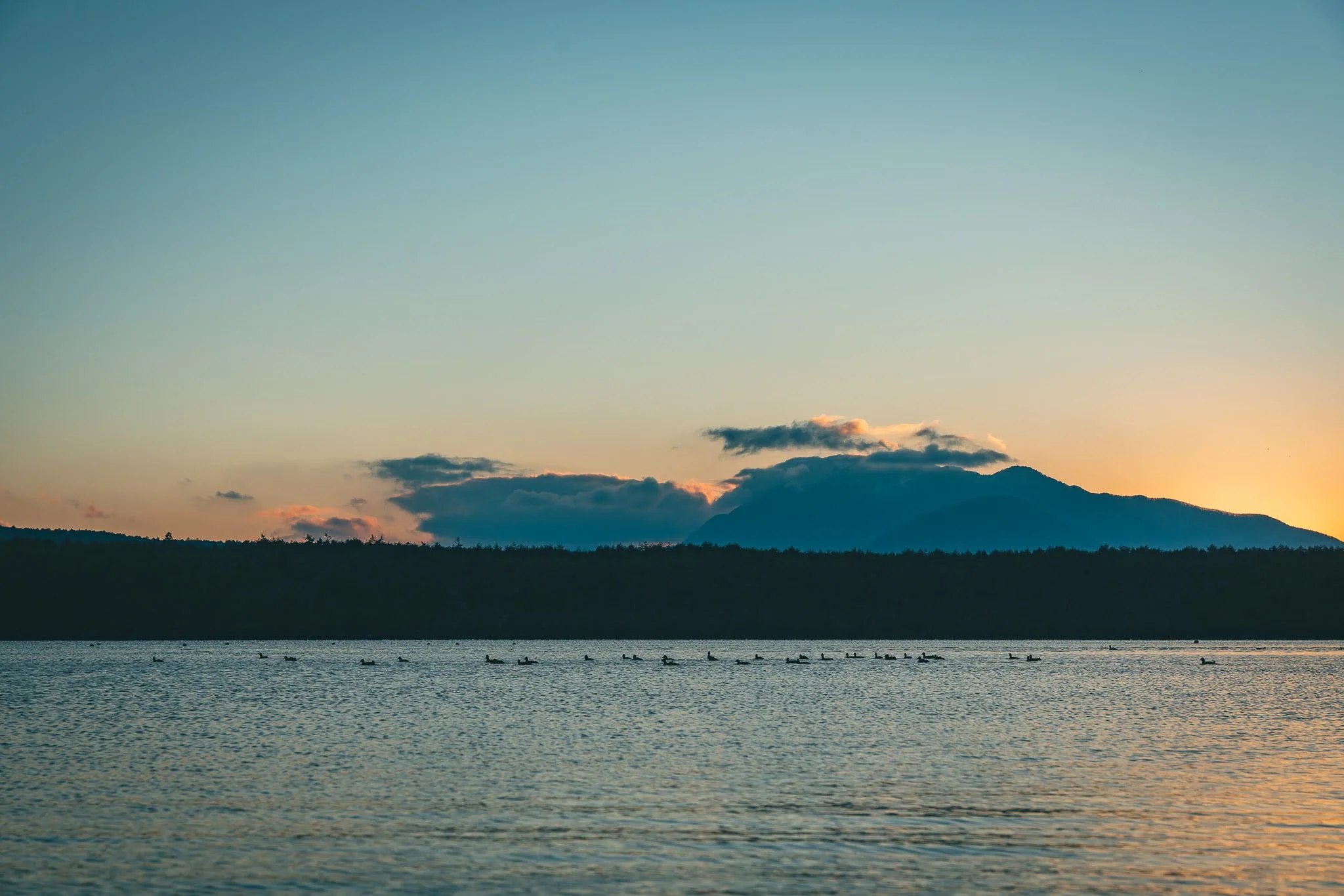 2025年コッコ祭りの様子16