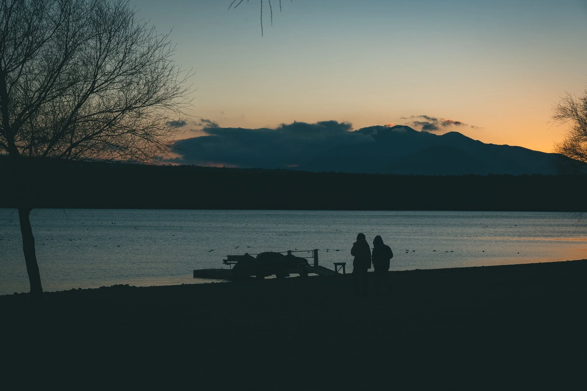2025年コッコ祭りの様子21