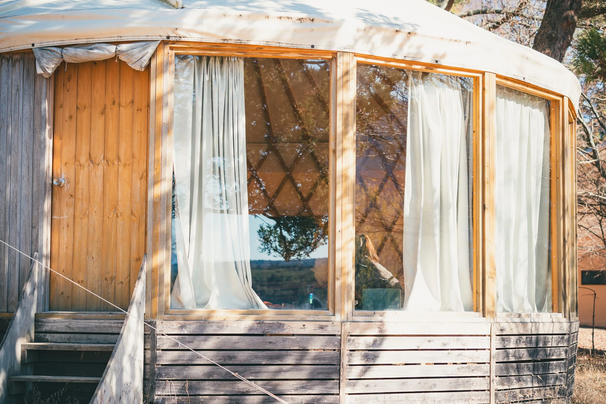 2025年コッコ祭りの様子36