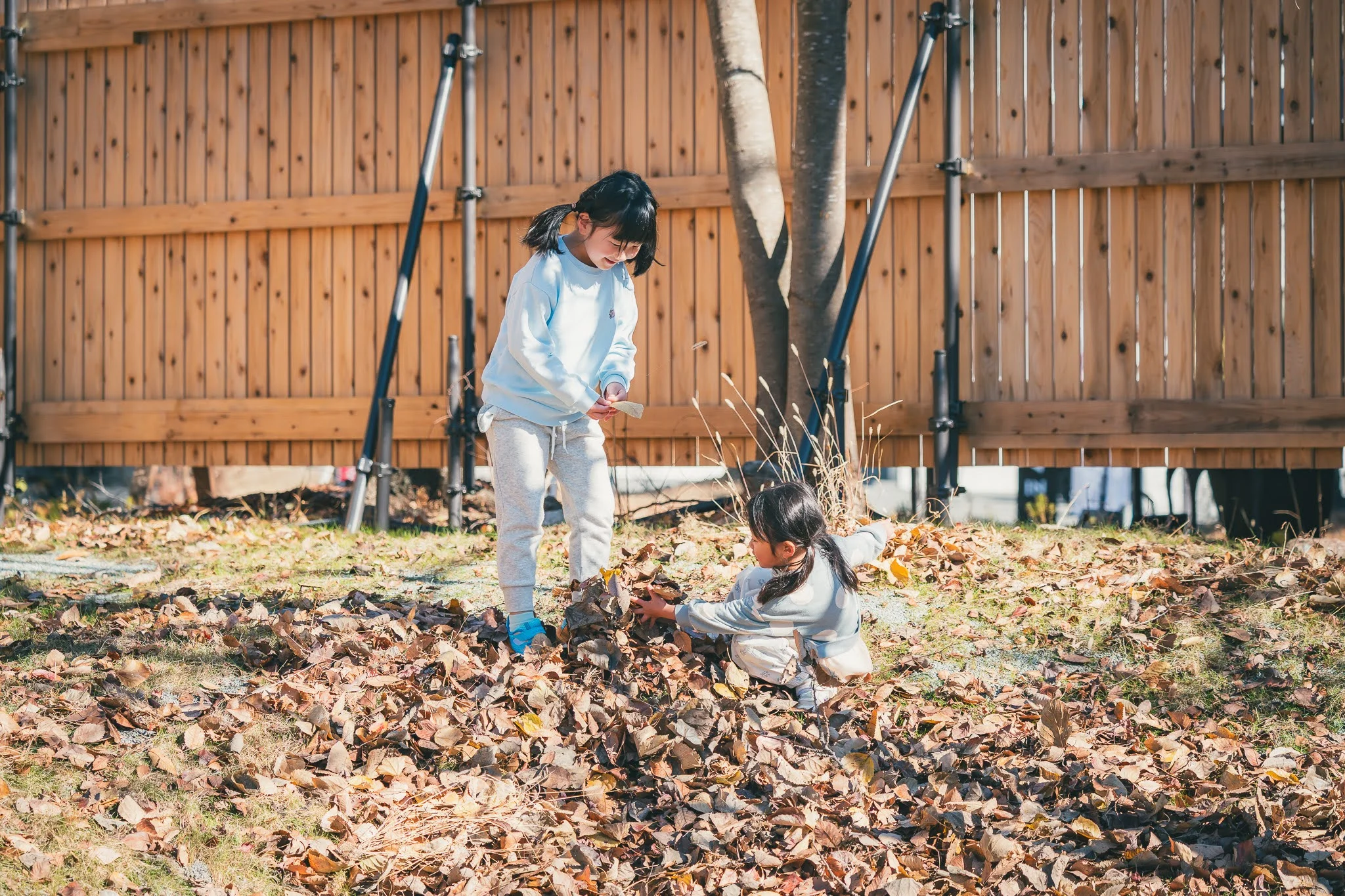 2025年コッコ祭りの様子46