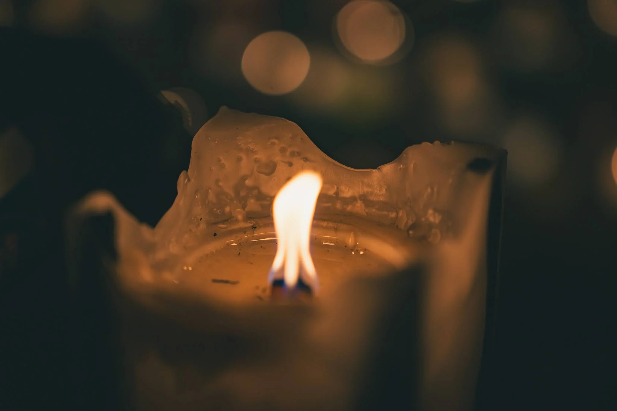 2025年コッコ祭りの様子114