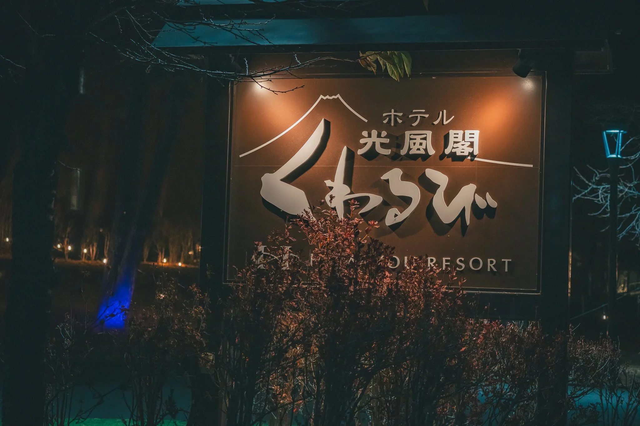 2025年コッコ祭りの様子131