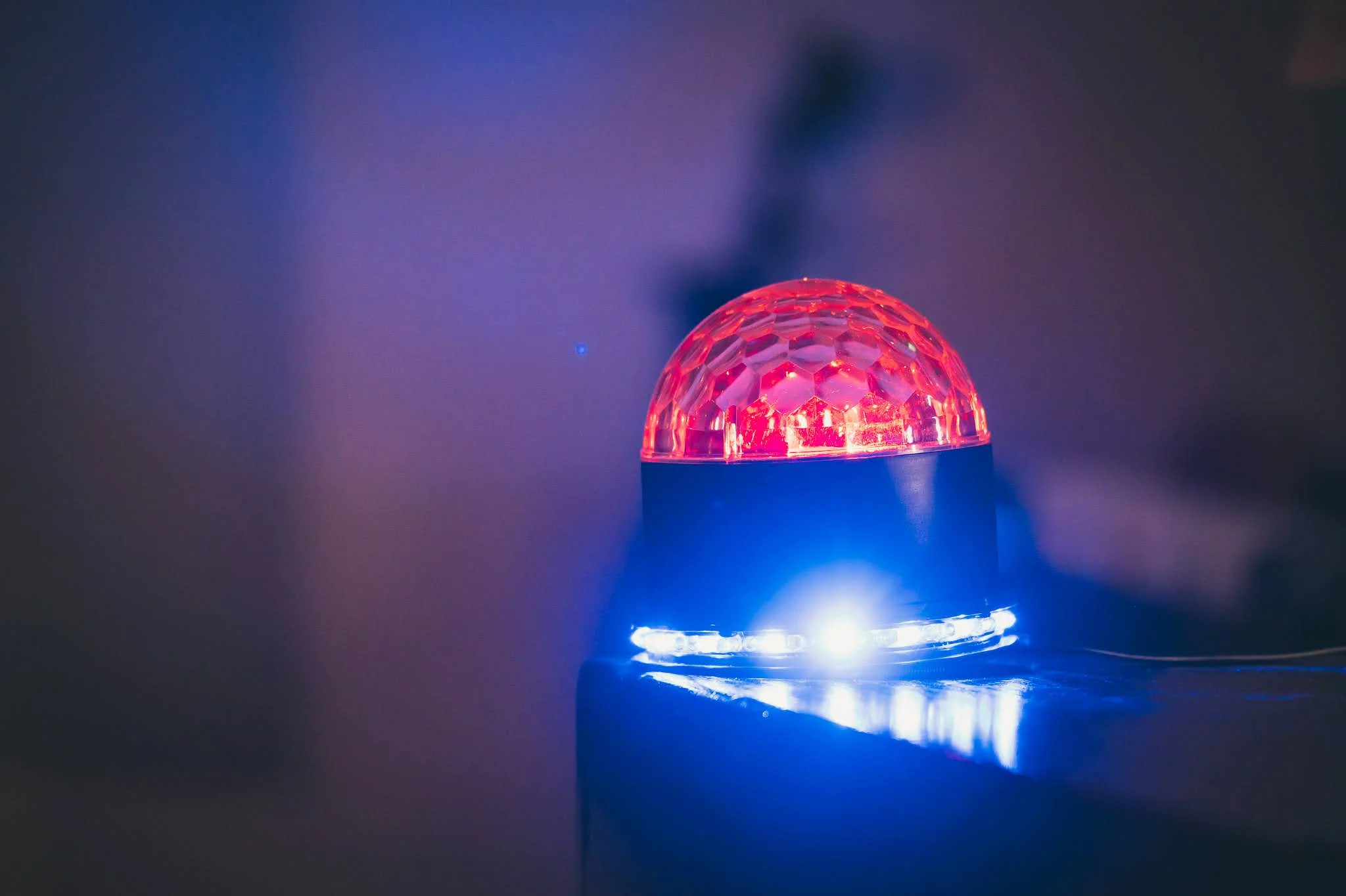 2025年コッコ祭りの様子139