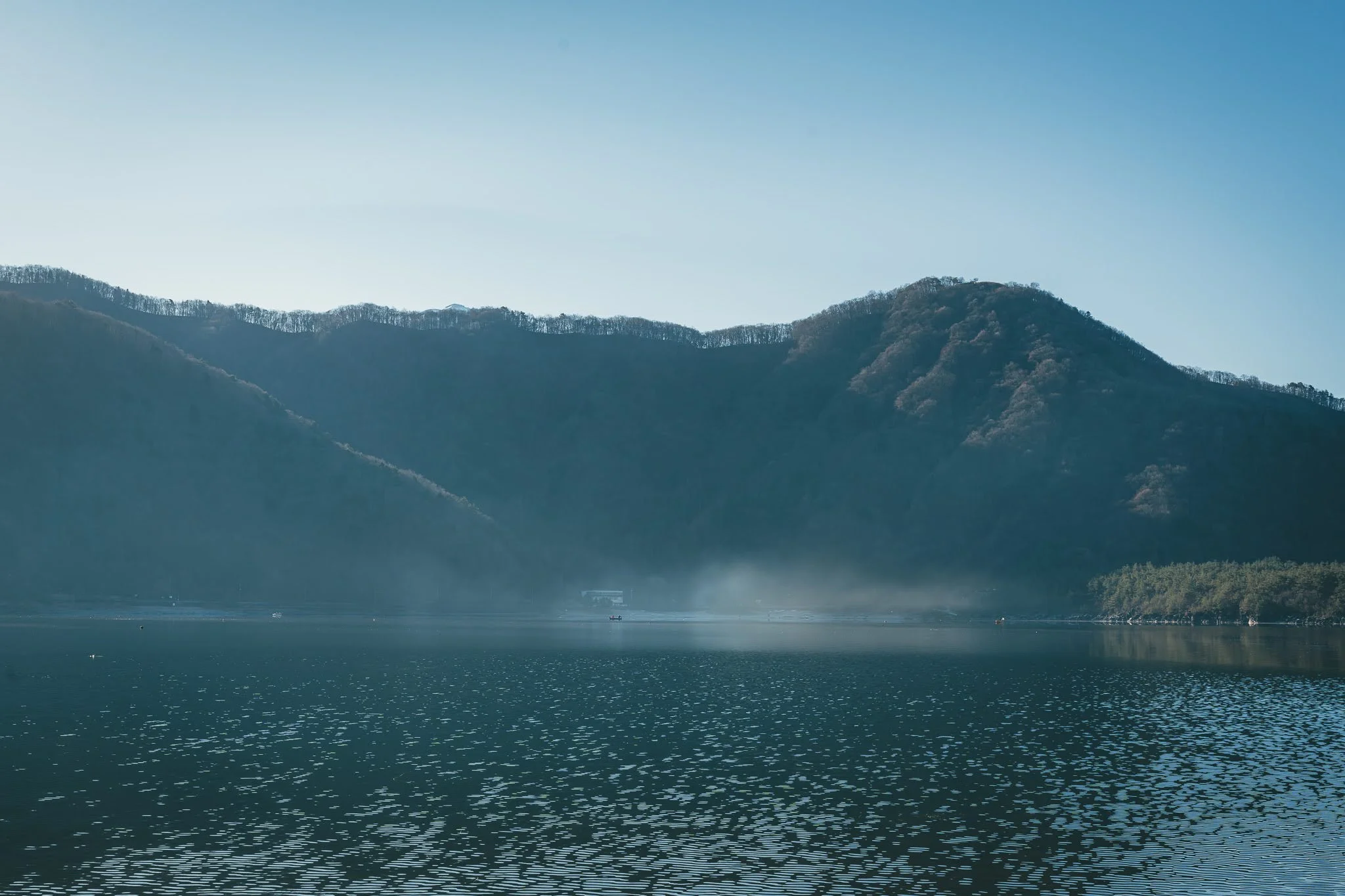 2025年コッコ祭りの様子161