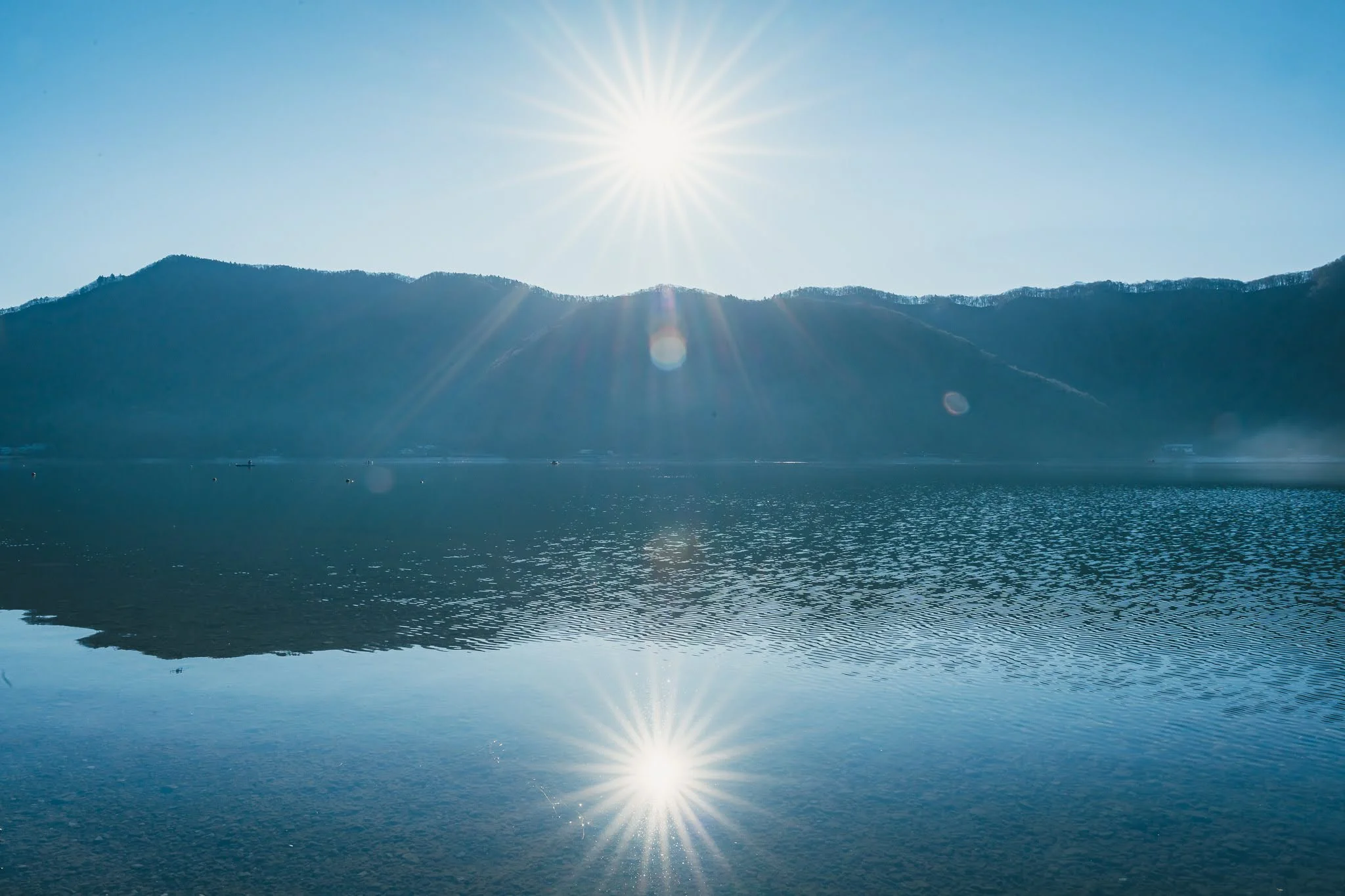 2025年コッコ祭りの様子162