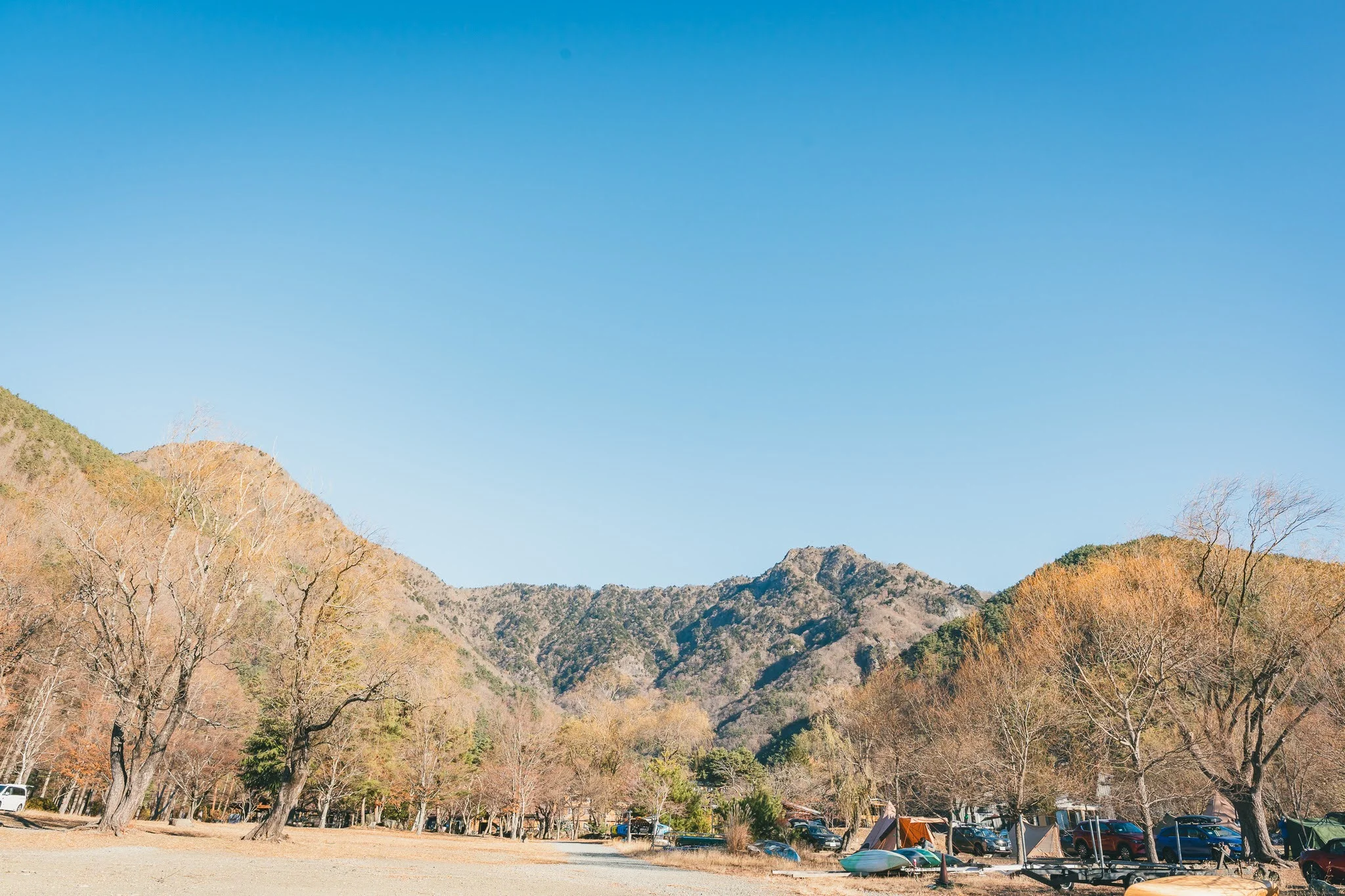 2025年コッコ祭りの様子163