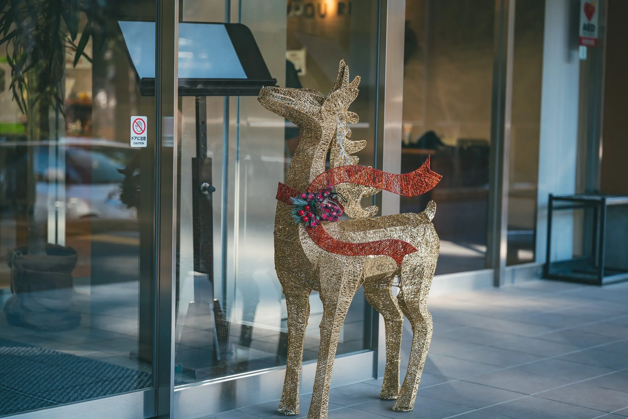 2025年コッコ祭りの様子169