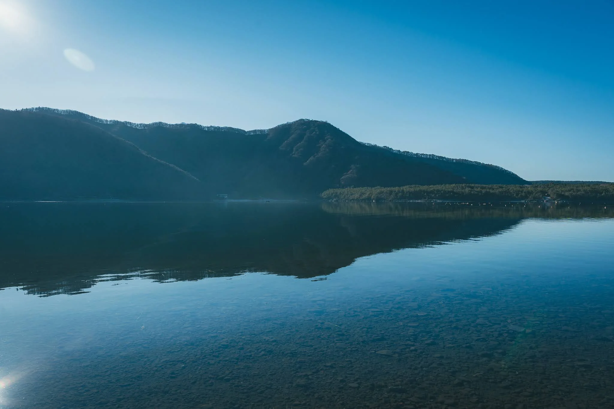 2025年コッコ祭りの様子176