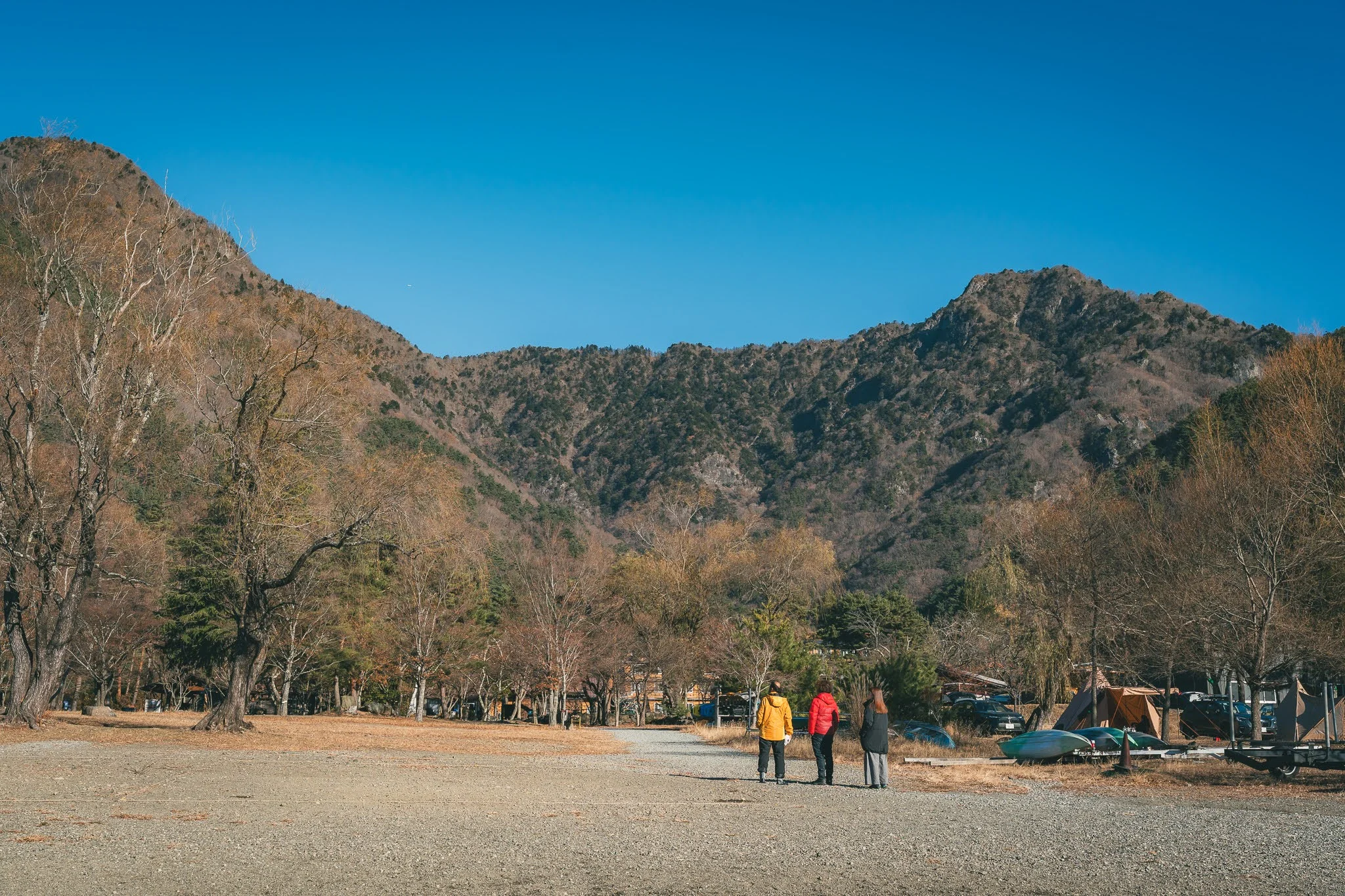2025年コッコ祭りの様子178