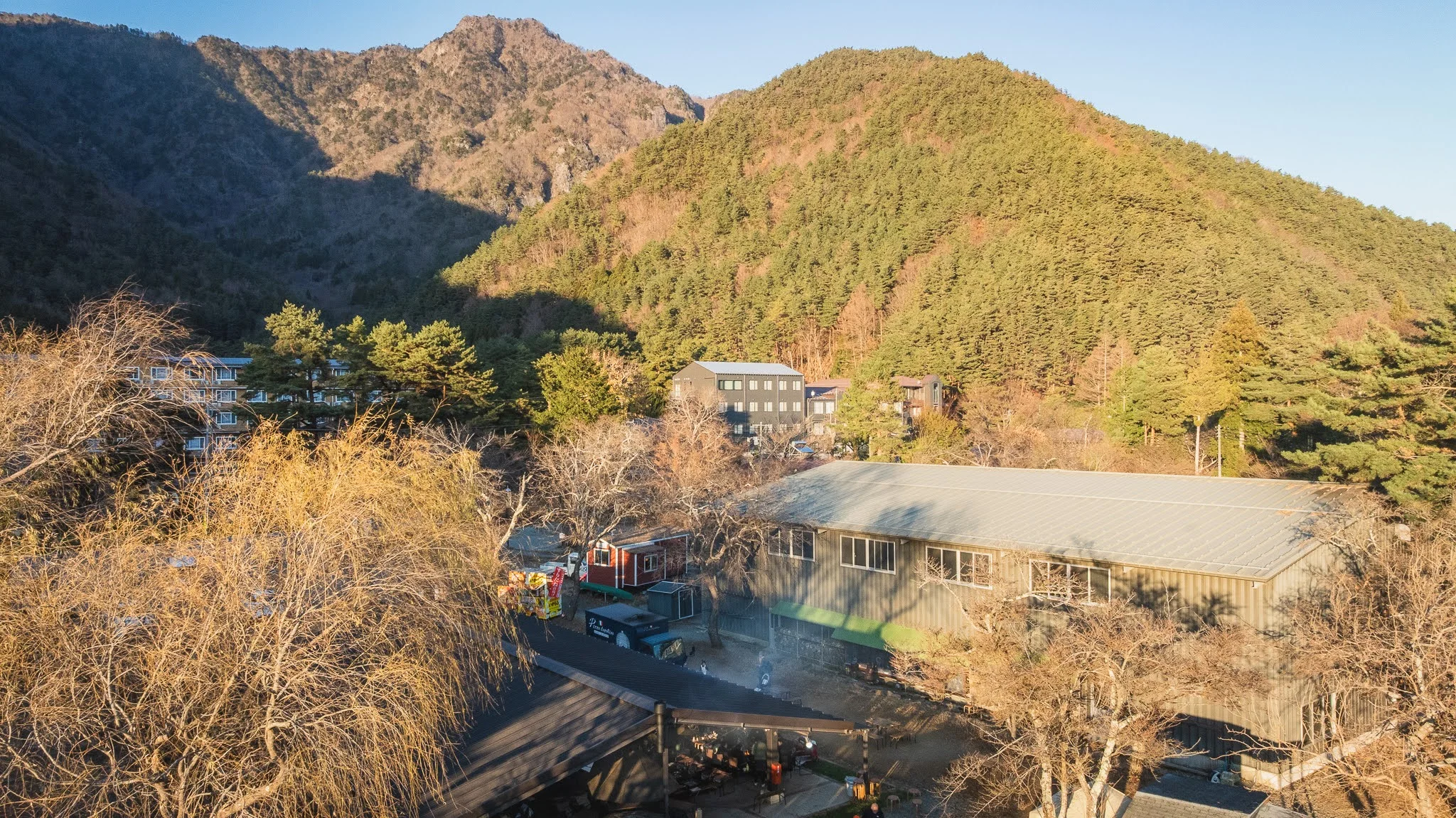 2025年コッコ祭りの様子213