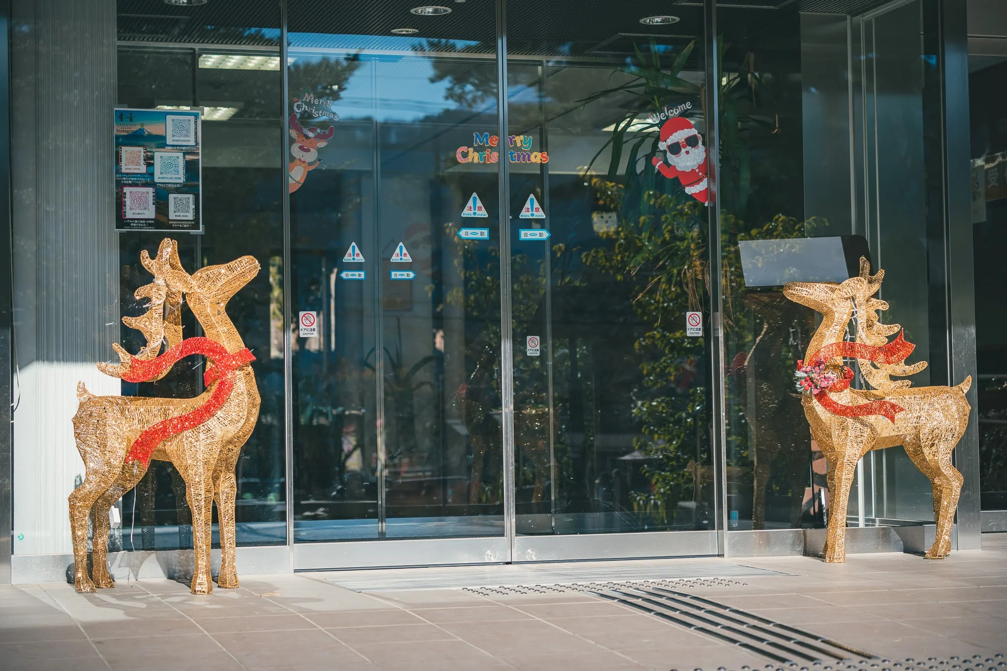 2025年コッコ祭りの様子215