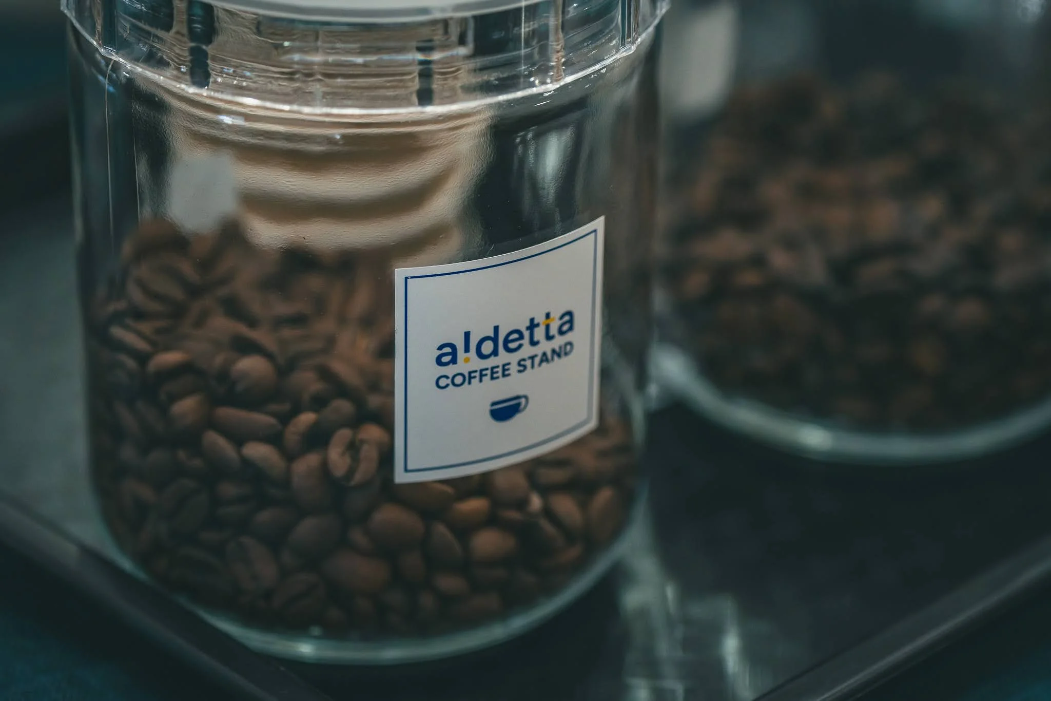 2025年コッコ祭りの様子225