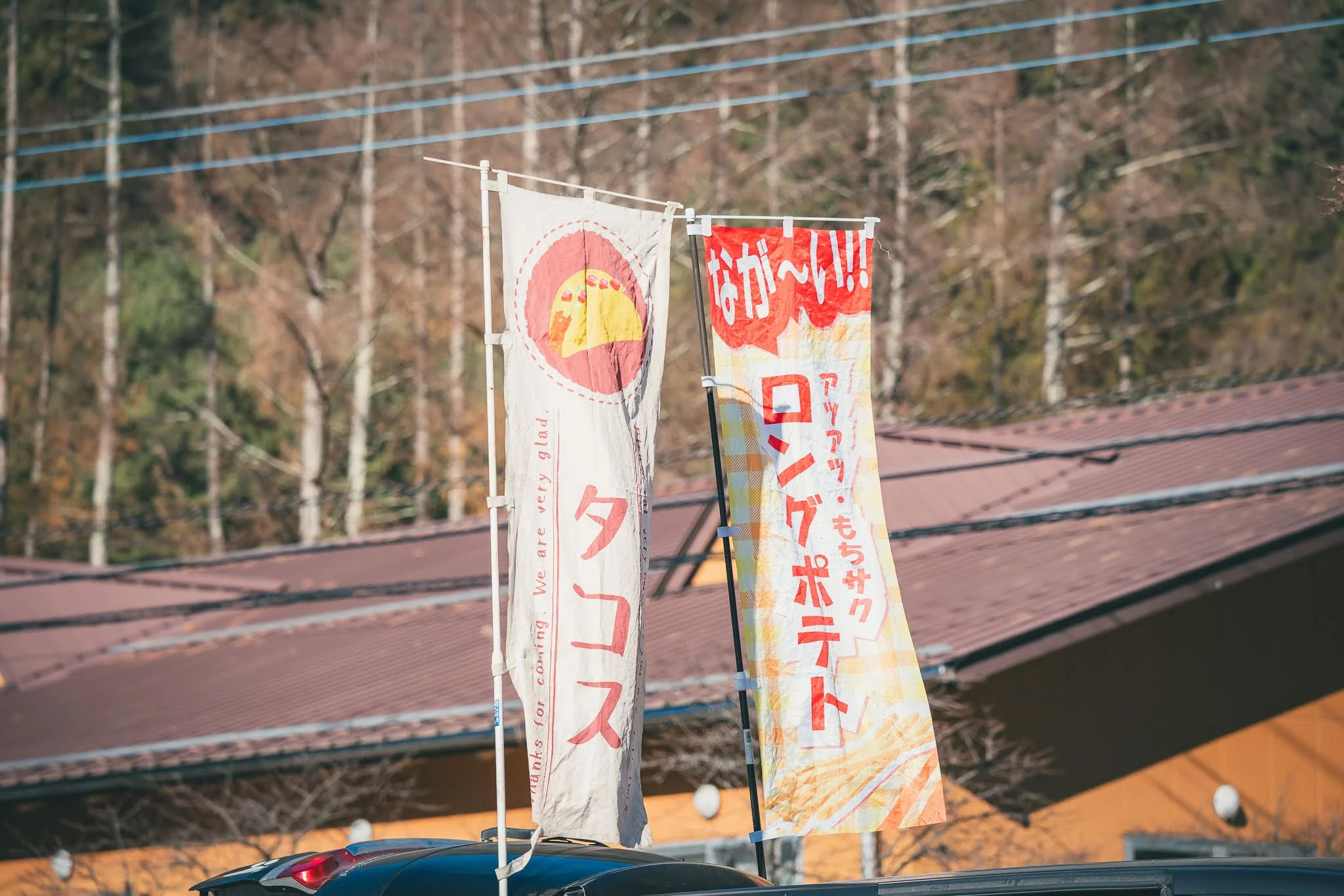 2025年コッコ祭りの様子278