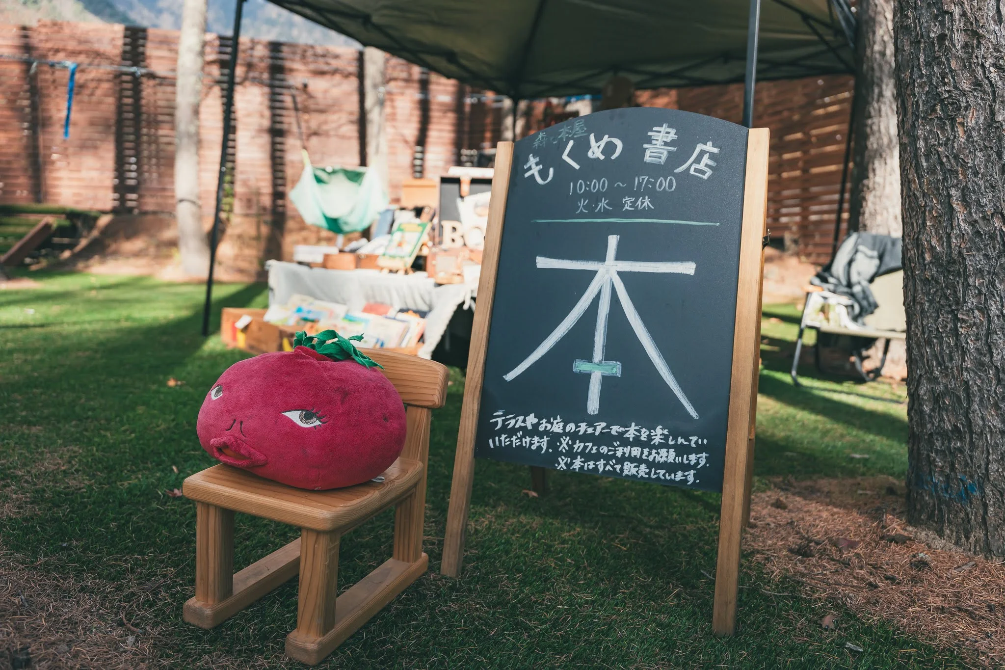 2025年コッコ祭りの様子352