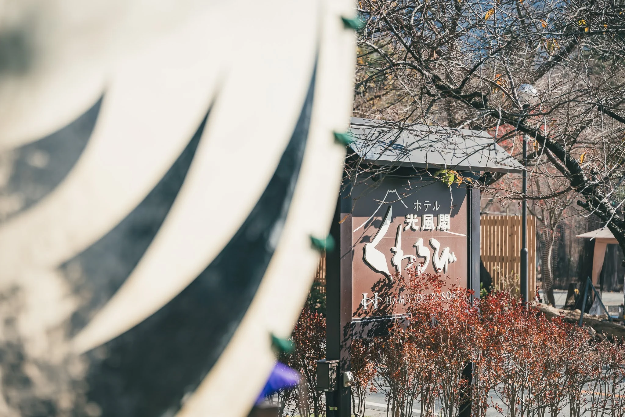 2025年コッコ祭りの様子356