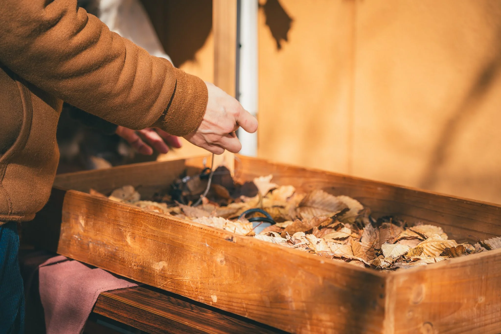 2025年コッコ祭りの様子361