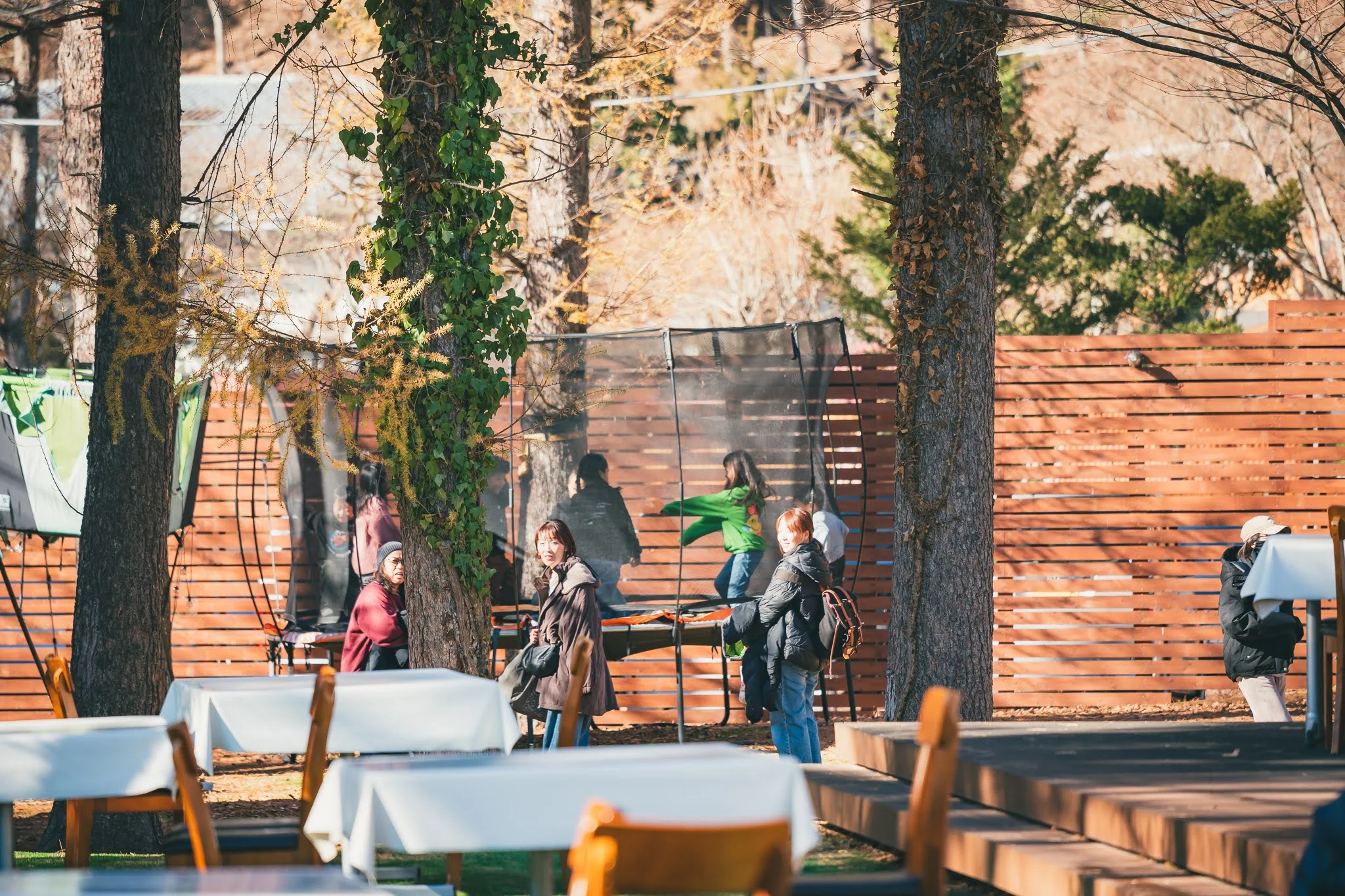 2025年コッコ祭りの様子372