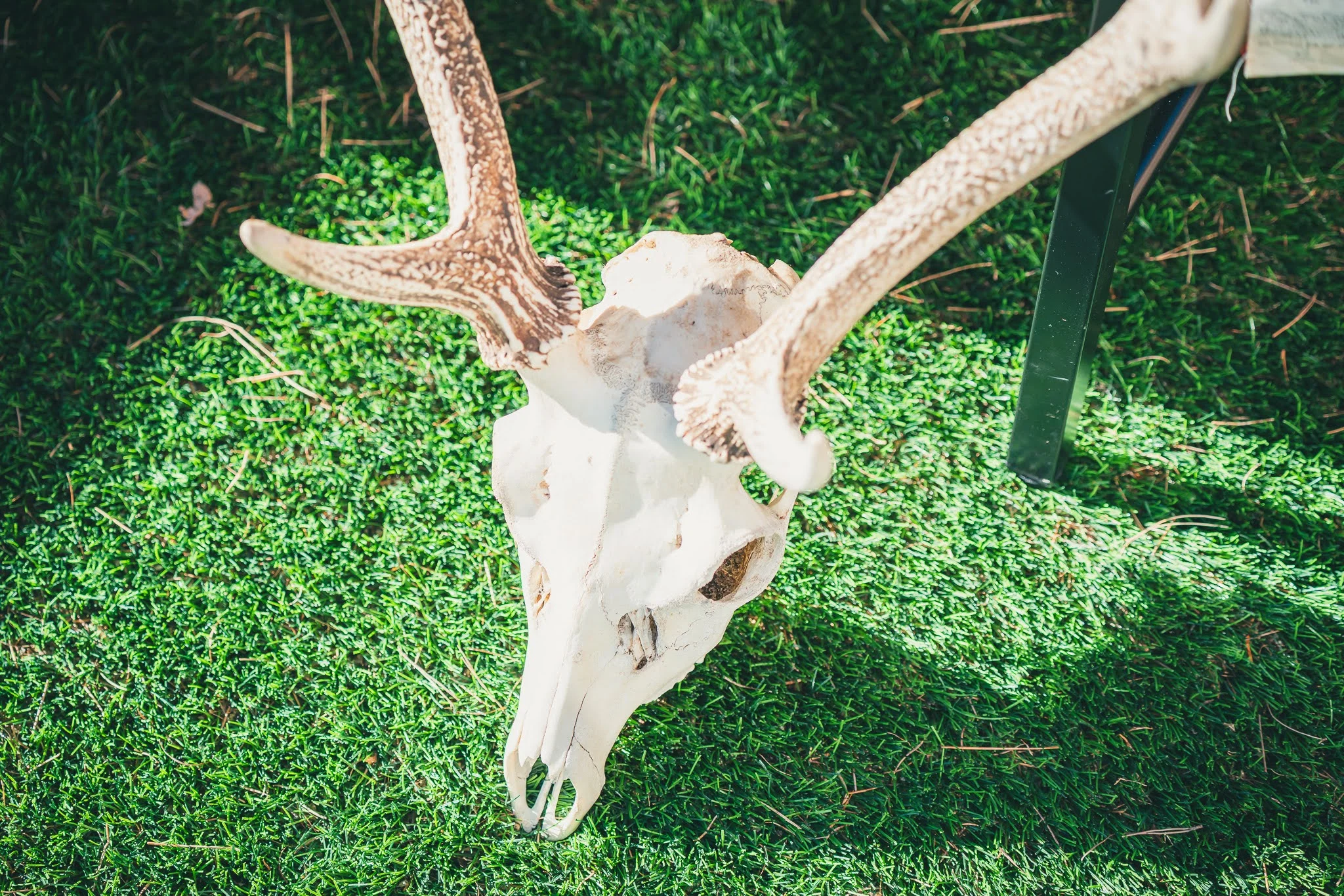 2025年コッコ祭りの様子380