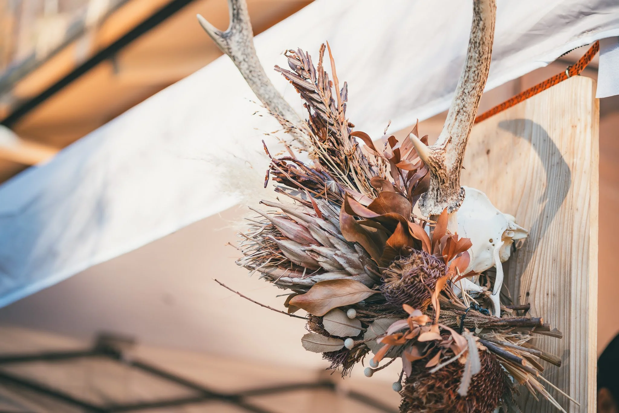 2025年コッコ祭りの様子383