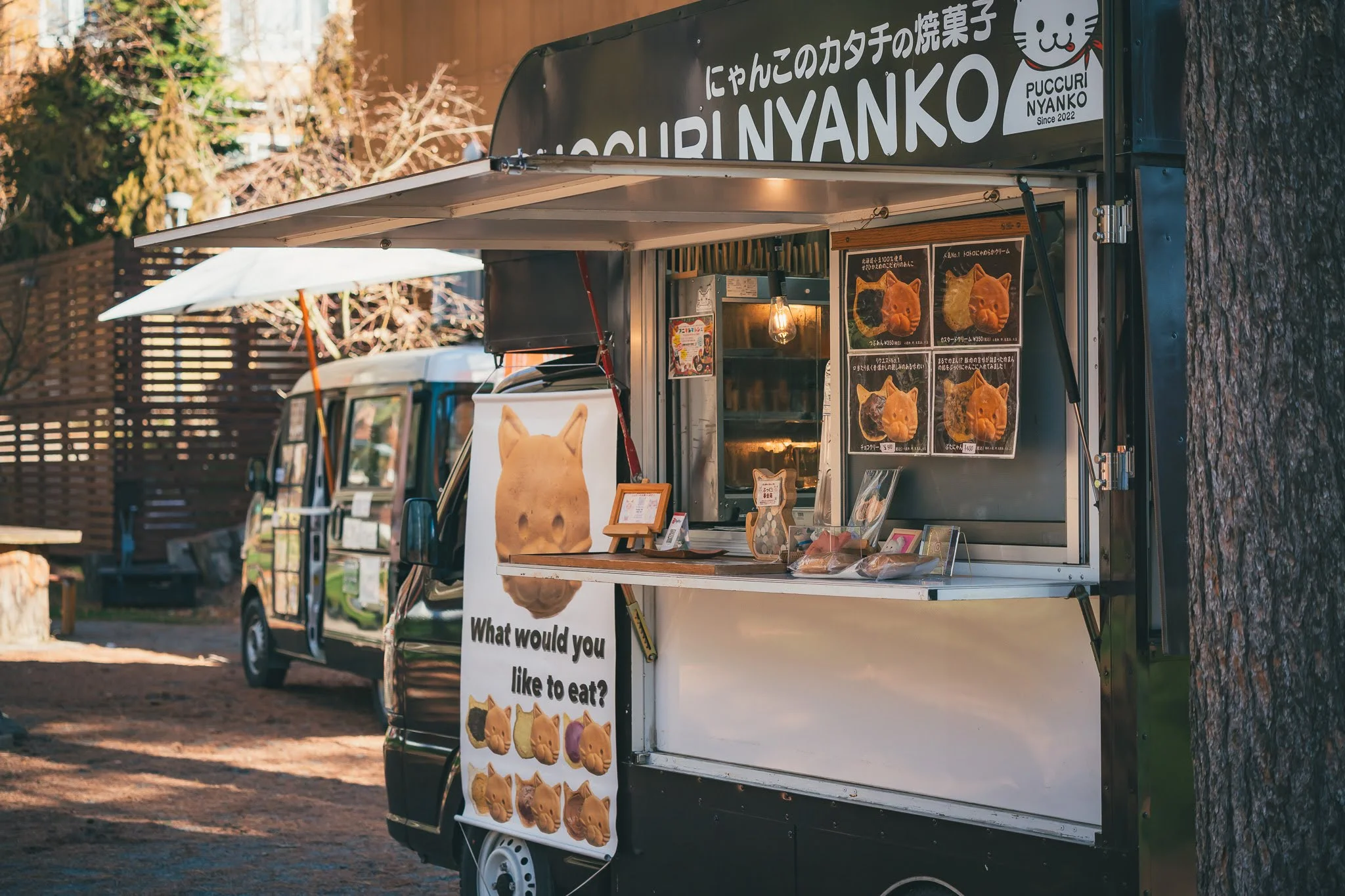 2025年コッコ祭りの様子398