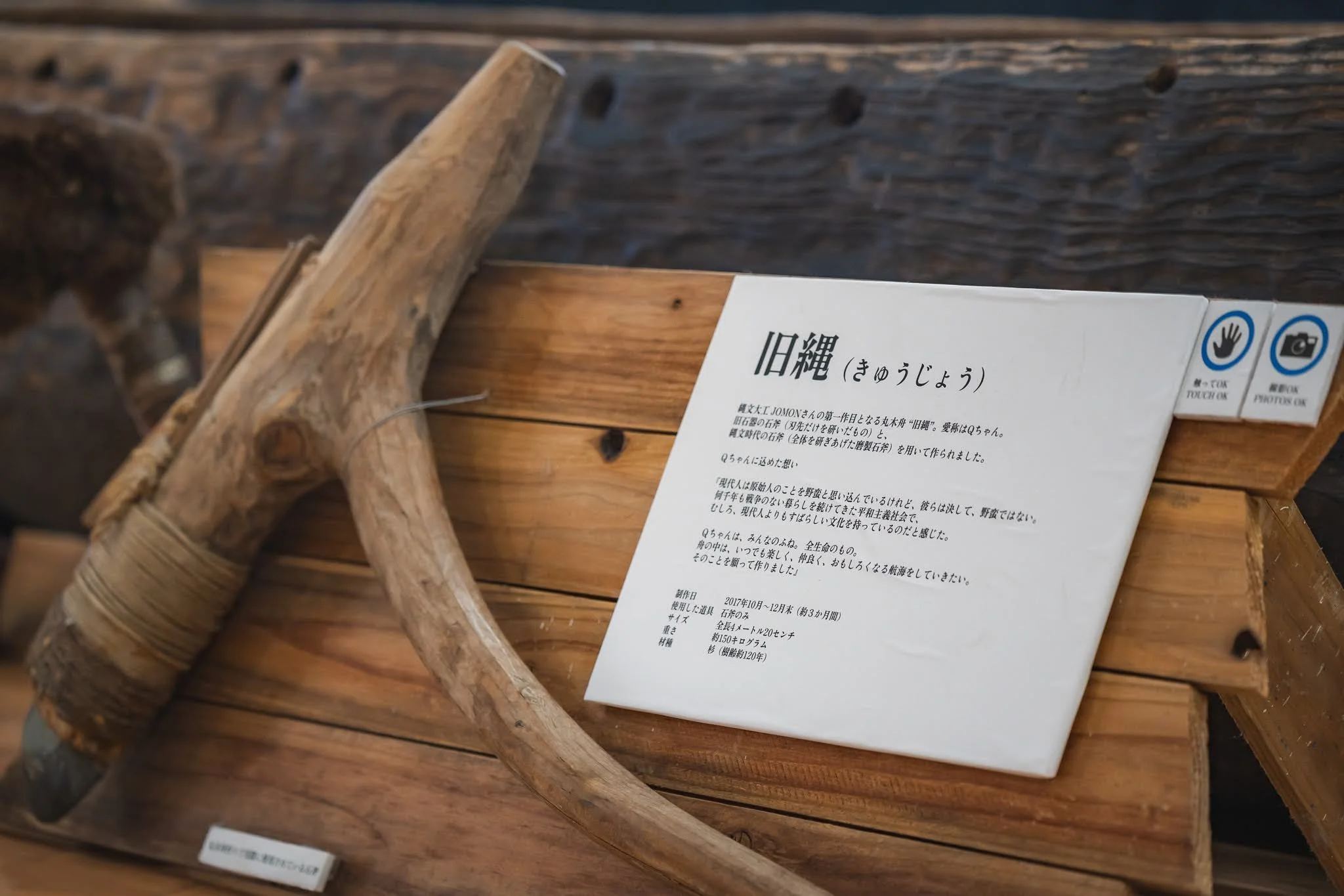 2025年コッコ祭りの様子461