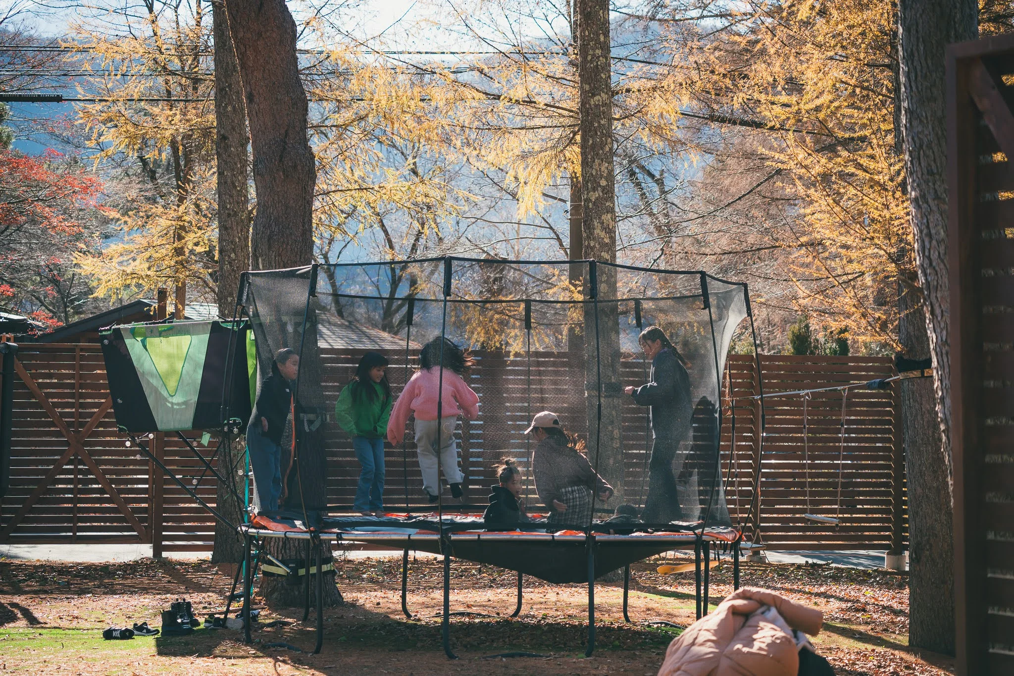 2025年コッコ祭りの様子463