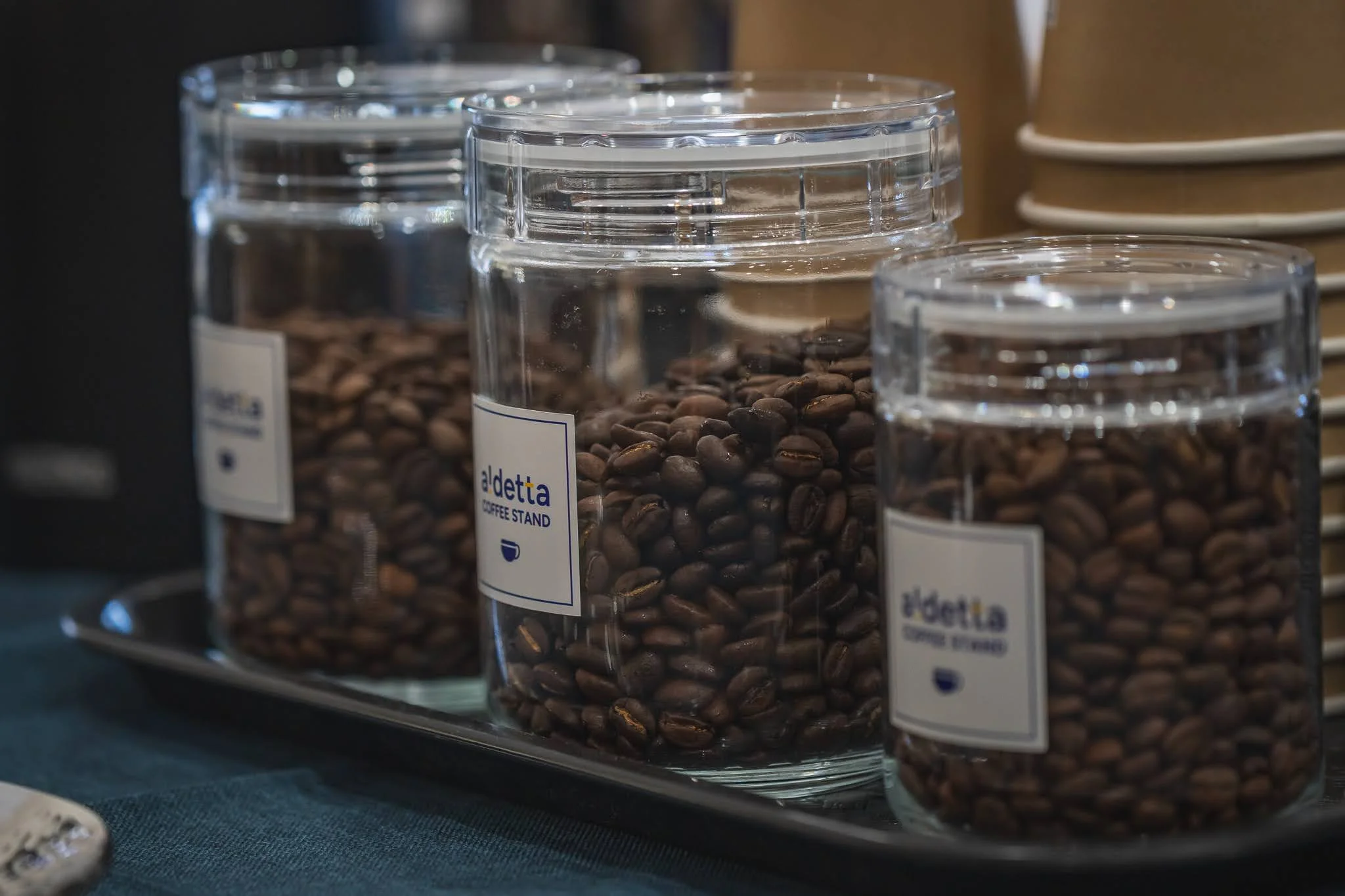 2025年コッコ祭りの様子465