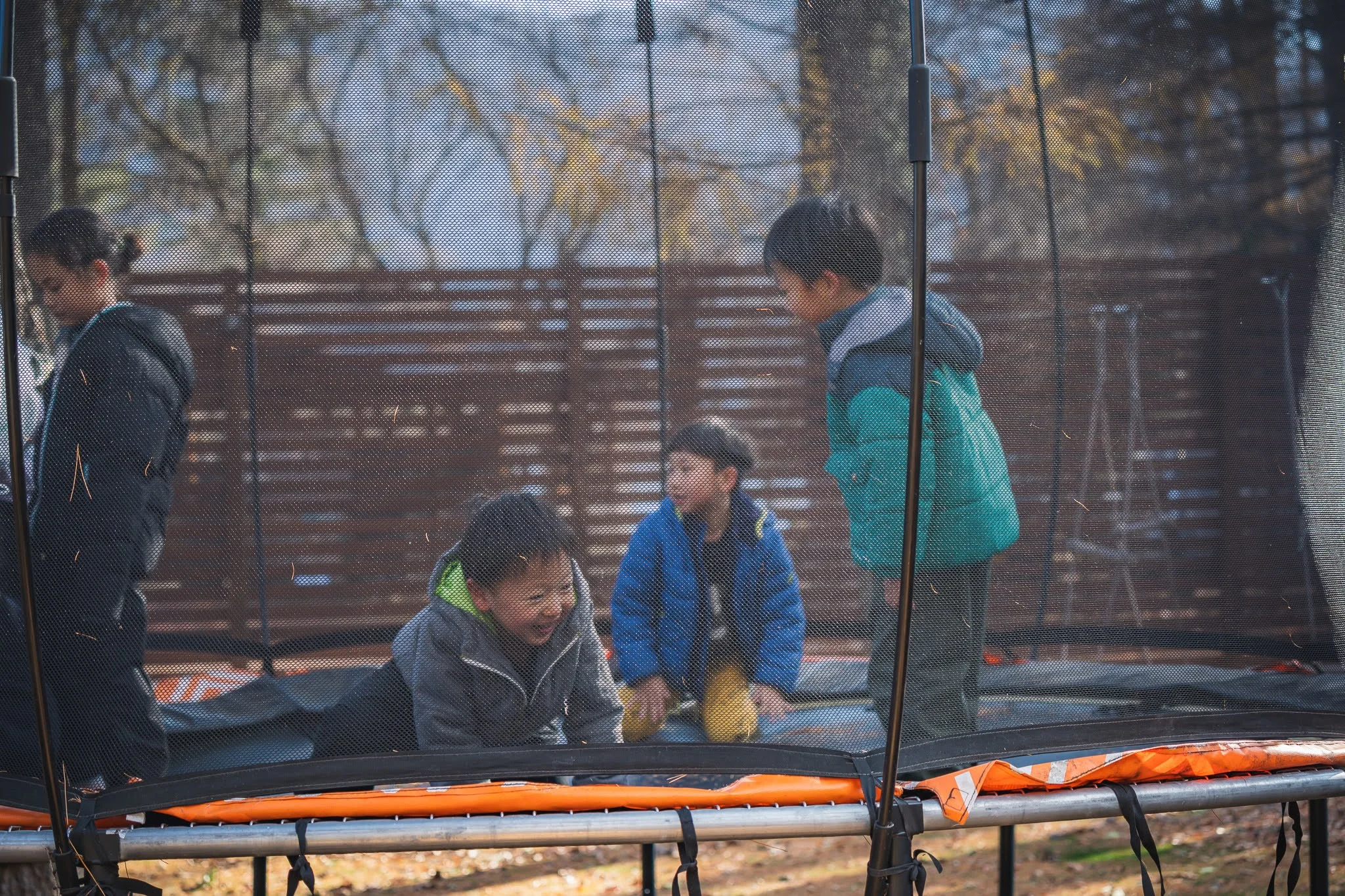 2025年コッコ祭りの様子471