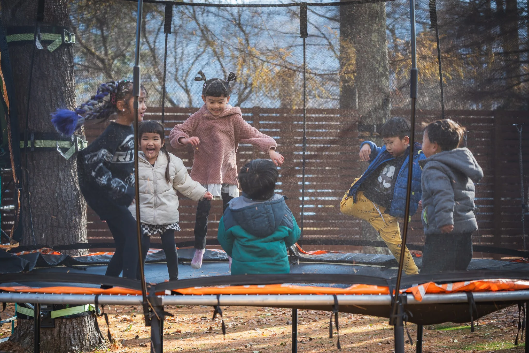 2025年コッコ祭りの様子473
