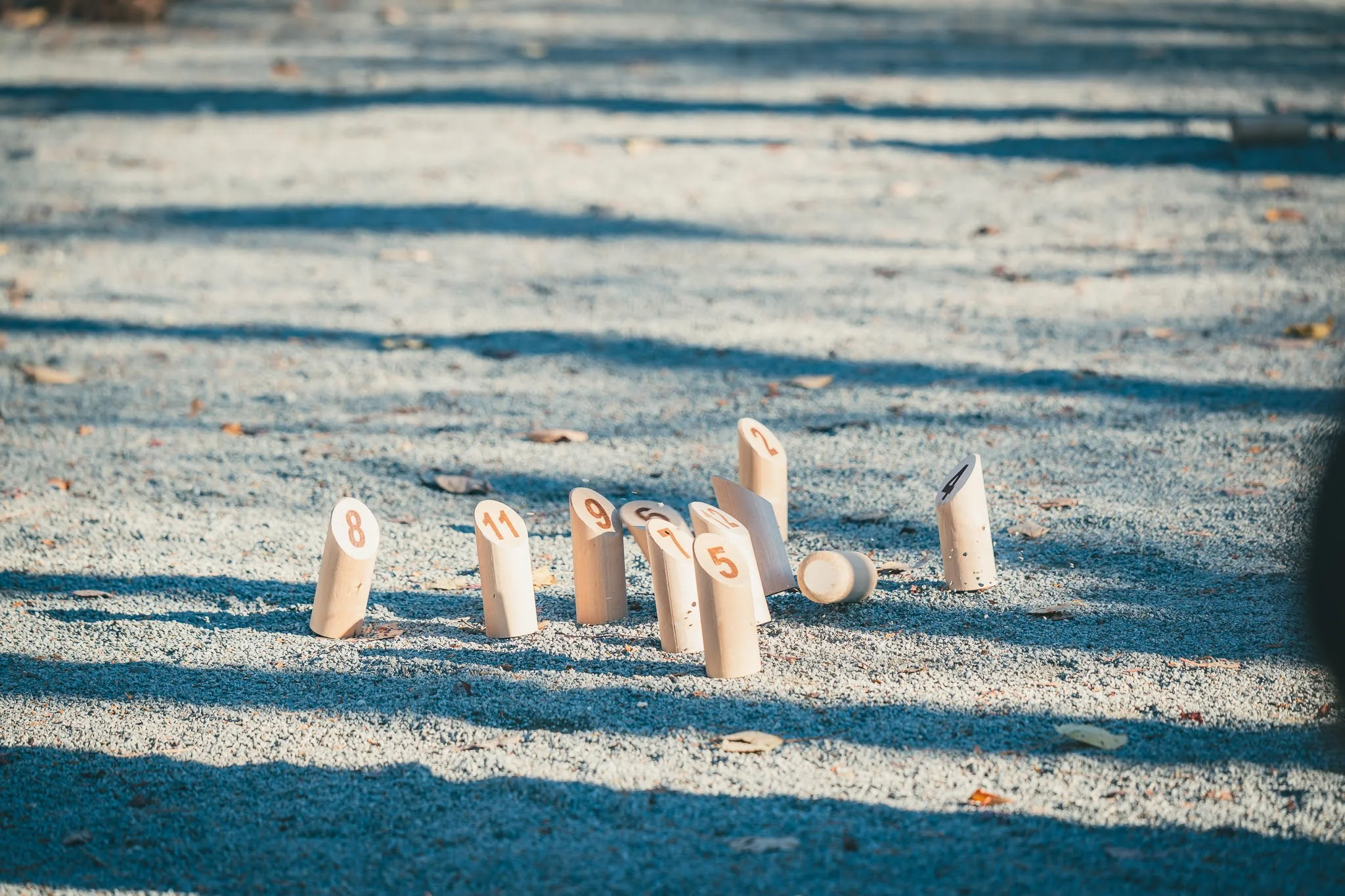 2025年コッコ祭りの様子532