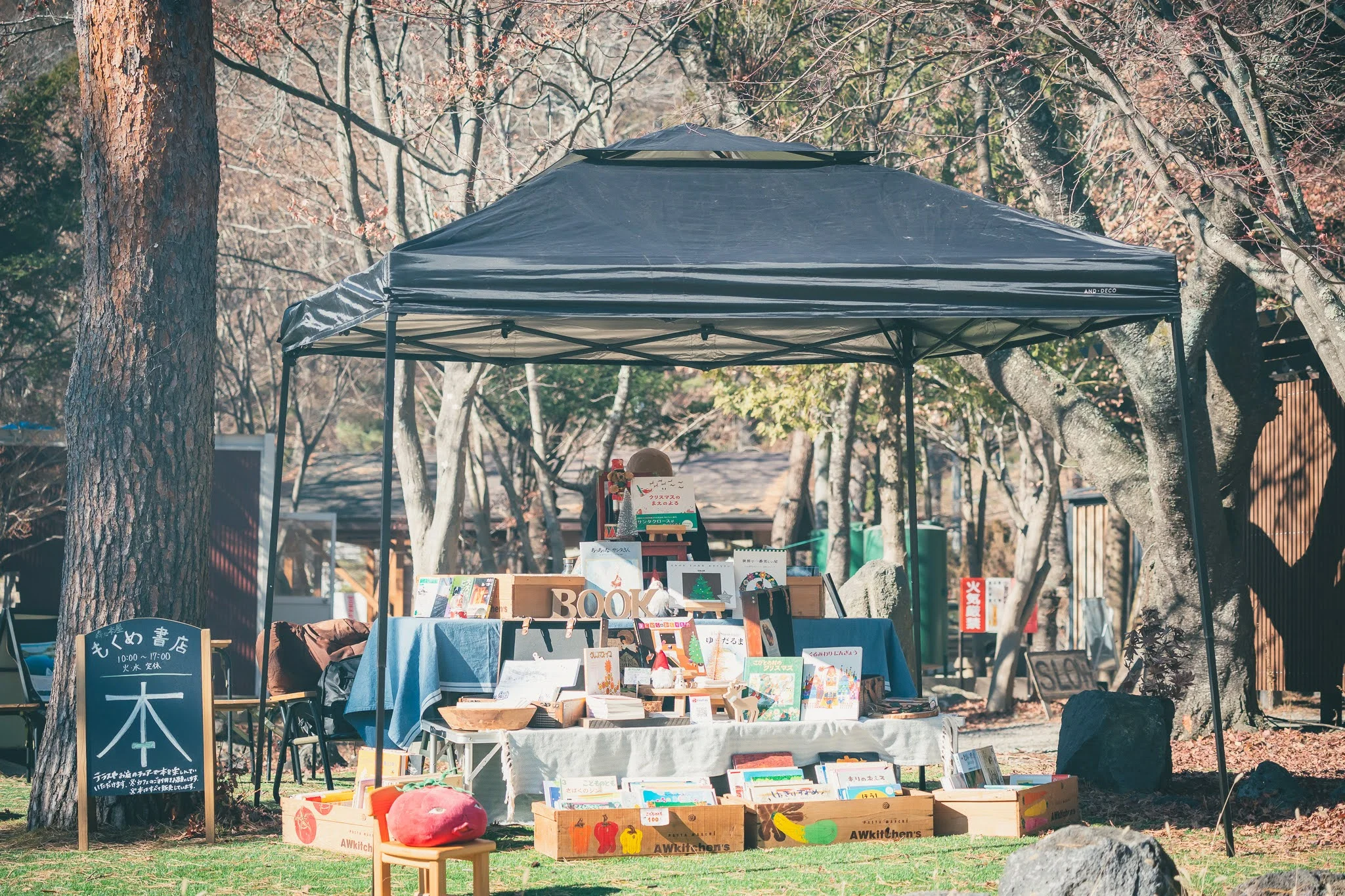 2025年コッコ祭りの様子533