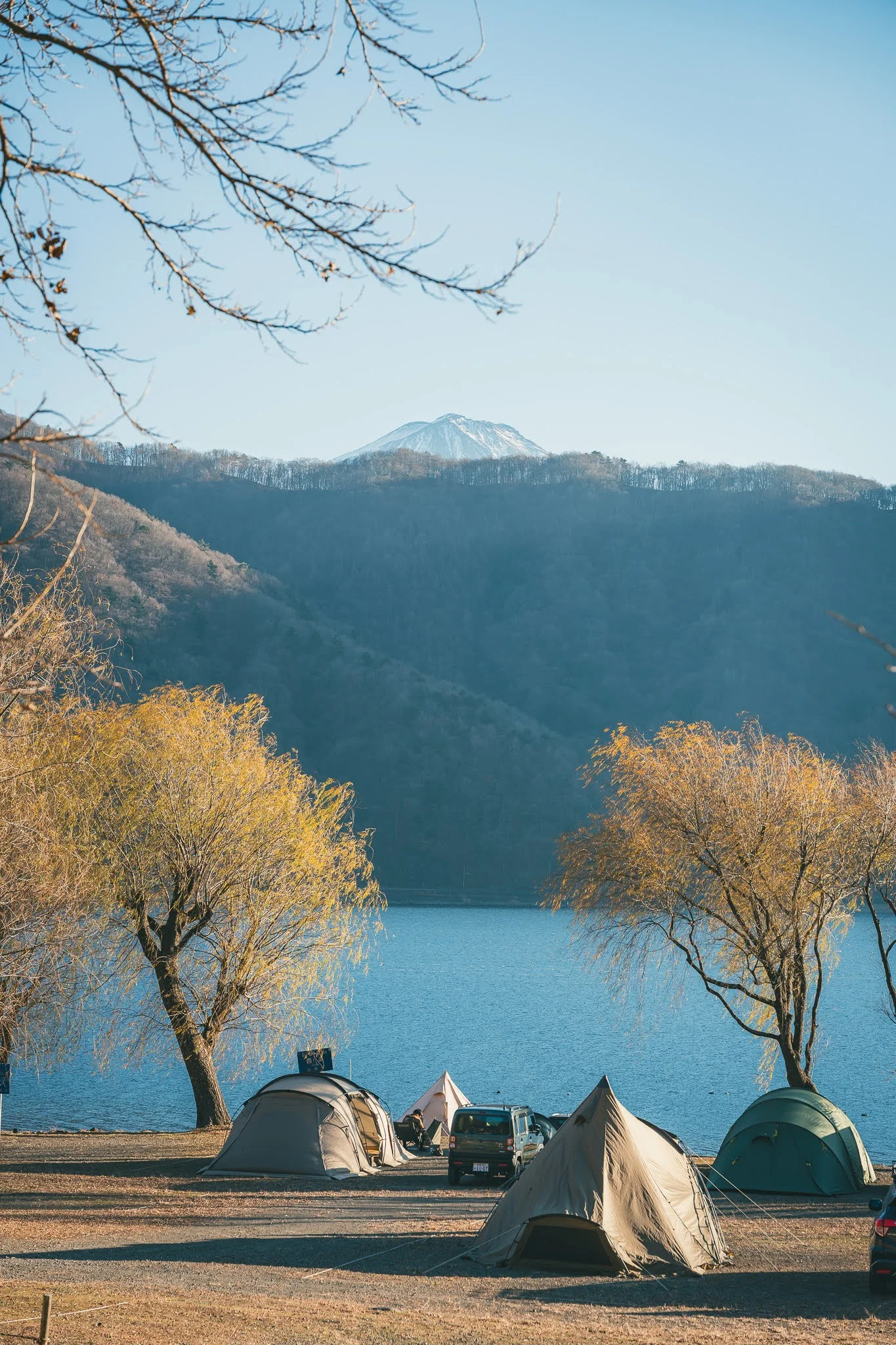 2025年コッコ祭りの様子603