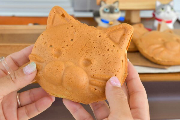 ぷっくりにゃんこ